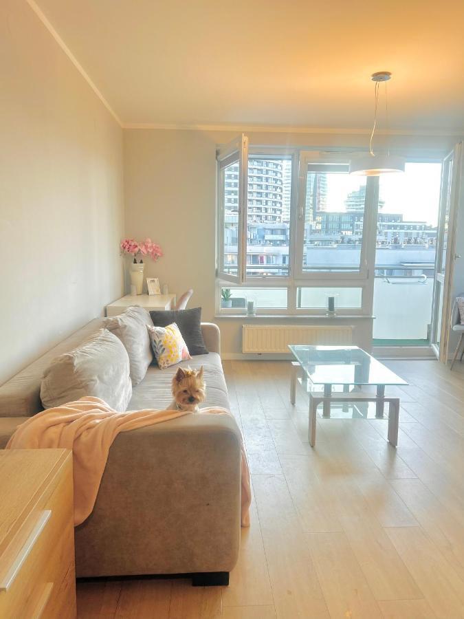 Downtownapartments Carrie Rzeszów Kültér fotó